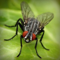 /album/lovebuyonline2014/photolia-a01-jpg/