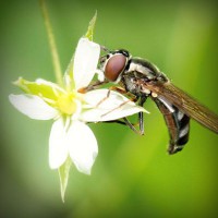 /album/lovebuyonline2014/photolia-a02-jpg/