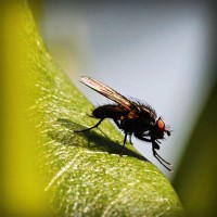 /album/lovebuyonline2014/photolia-a04-jpg/