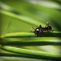 /album/lovebuyonline2014/photolia-a05-jpg/