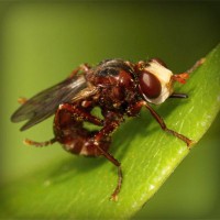 /album/lovebuyonline2014/photolia-a06-jpg/