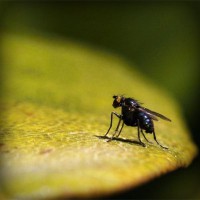 /album/lovebuyonline2014/photolia-a07-jpg/