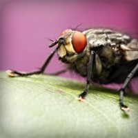 /album/lovebuyonline2014/photolia-a08-jpg/